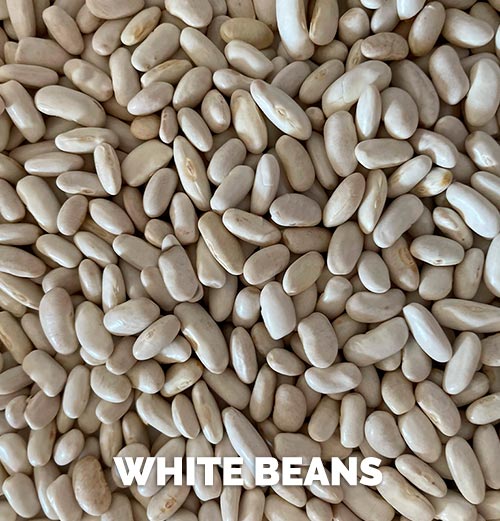 Porotos Blancos