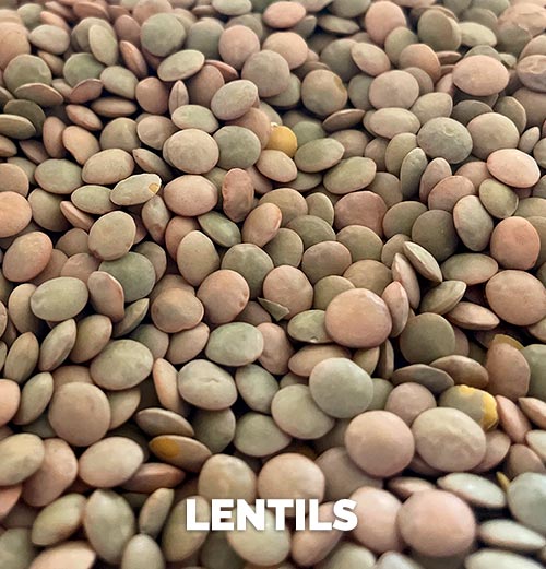 Lentejas