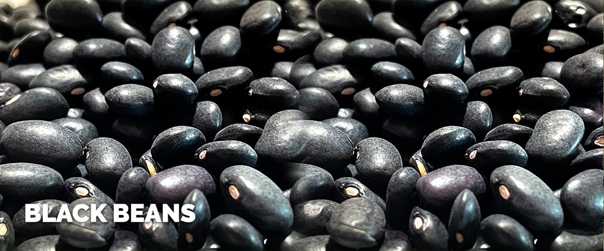 Porotos Negros