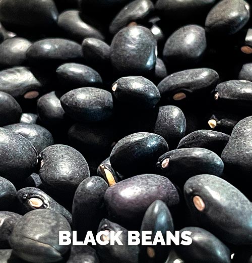 Porotos Negros