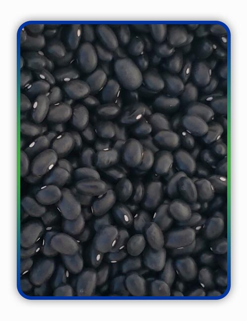 Porotos Negros